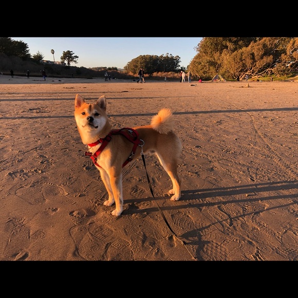 Meet your Posher, Wendy - Picture 1 of 1